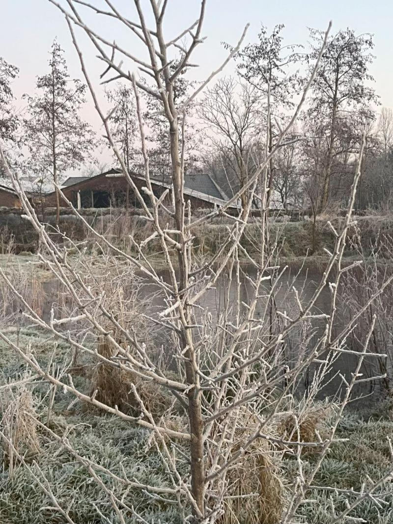 Boven De S L A G E R I J * Schijndel
